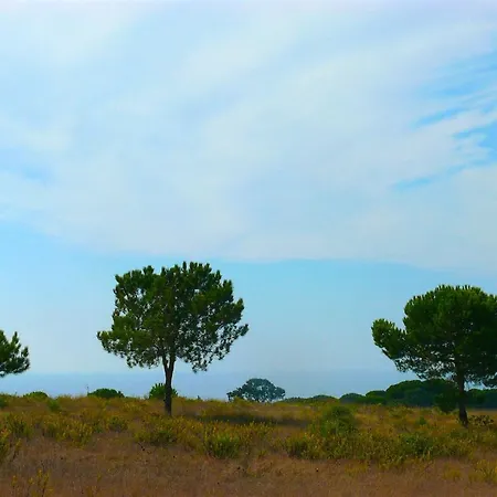 别墅 Oasis Azul - Beautiful With Heated Private Pool, Short Walk