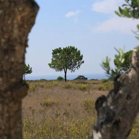 Oasis Azul - Beautiful With Heated Private Pool, Short Walk 塞辛布拉