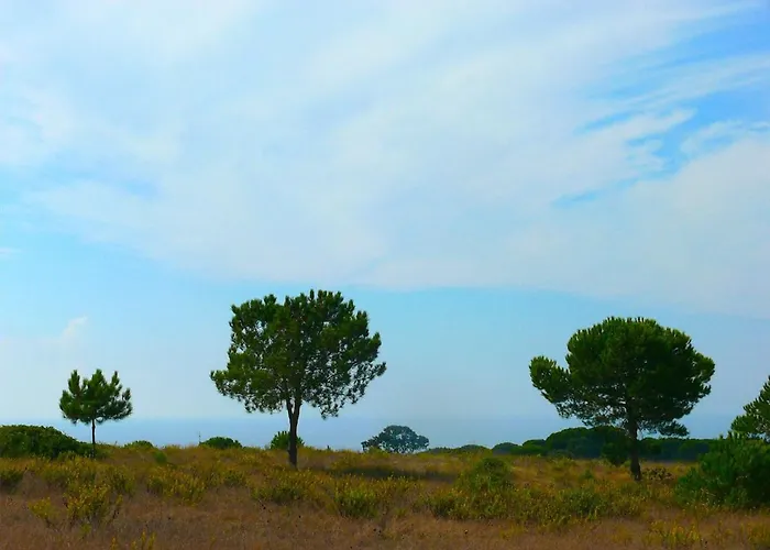 Villa Oasis Azul - Beautiful With Heated Private Pool, Short Walk